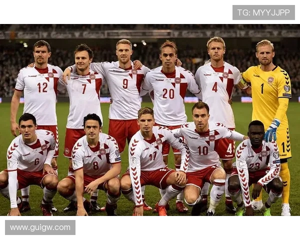 丹麦与波兰世预赛2017精彩对决回顾与分析