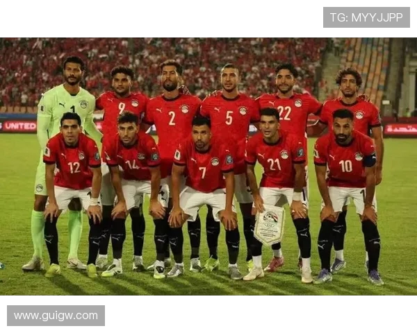 埃及与南非足球赛精彩对决比分预测及分析建议