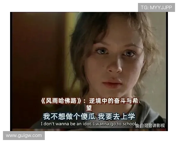 景菡一的成长之路：从平凡到卓越的奋斗故事与人生哲学