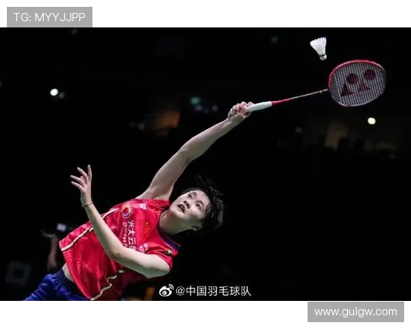 杭州羽毛球队在精英赛中的耐力表现分析与启示