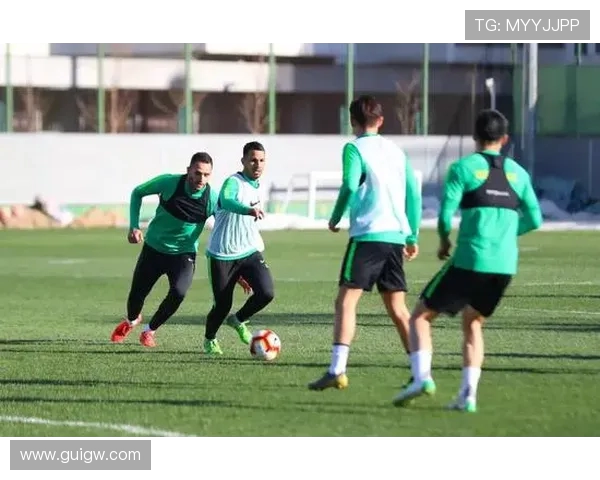 北京羽毛球队耐力对比深度解析及训练策略探讨 北京羽毛球队耐力对比深度解析及训练策略探讨