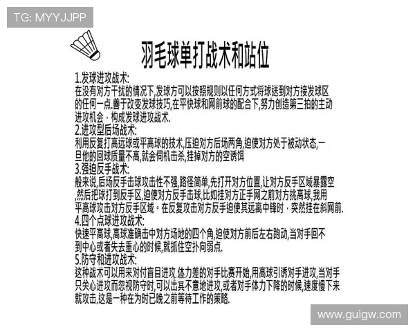 成都羽毛球队默契配合的关键因素与战术分析探讨